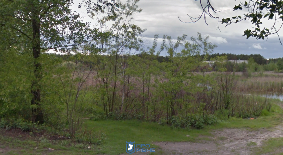 “Задарма – не буде” – Стратюк пояснив чому підприємцю з Сарн не продають землю