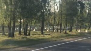 1 Білоруси "укріплюються" на кордоні з Україною