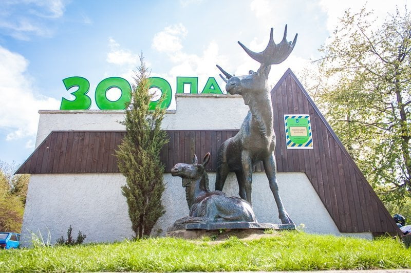 Біля зоопарку в Рівному створять парковку на 150 авто