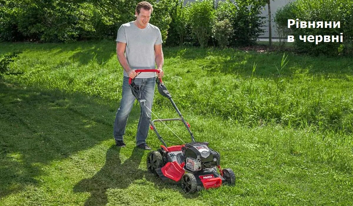 Мунварта Рівного штрафуватиме за порослі газони