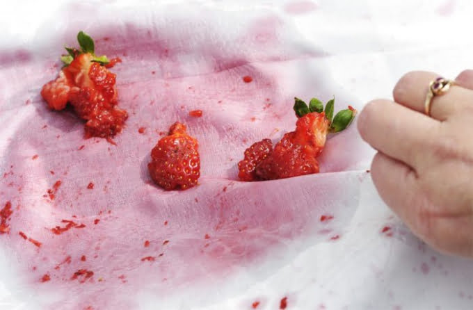 Як позбутись плям від ягід на одязі – ТОП 5 порад