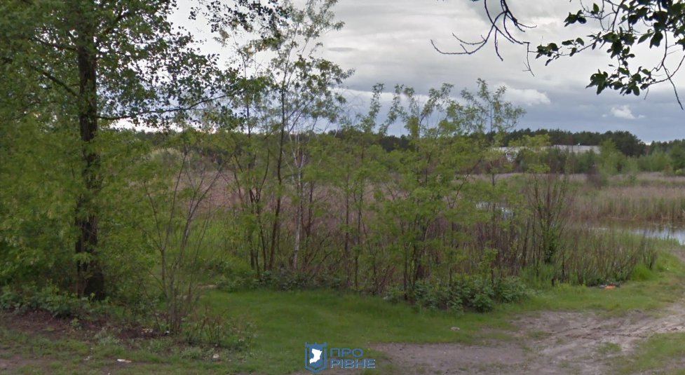 “Задарма – не буде” – Стратюк пояснив чому підприємцю з Сарн не продають землю