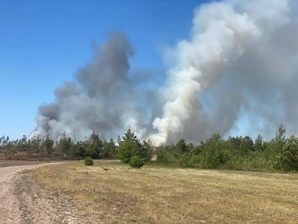 1 Масштабну пожежу на Рівненському Поліссі загасили