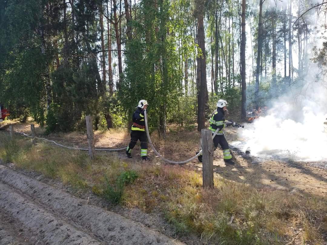 1 Масштабну пожежу на Рівненському Поліссі загасили