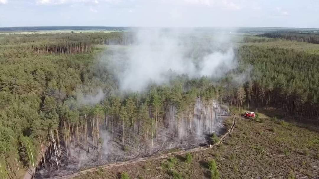 Масштабну пожежу на Рівненському Поліссі загасили