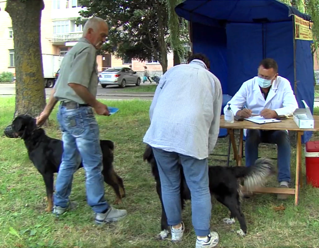 У Рівному щепитимуть тварин від сказу (ГРАФІК) 0000