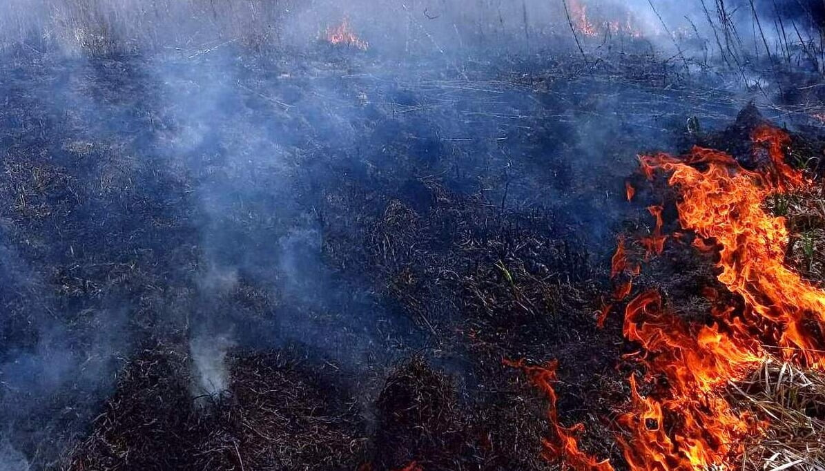На Рівненщині на вихідних горів торф