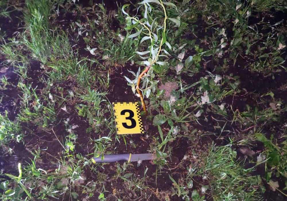 Побутова різанина: На Рівненщині чоловіка затримали за спробу вбивства 0000