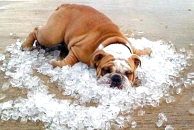 8 порад, як пережити спеку в місті