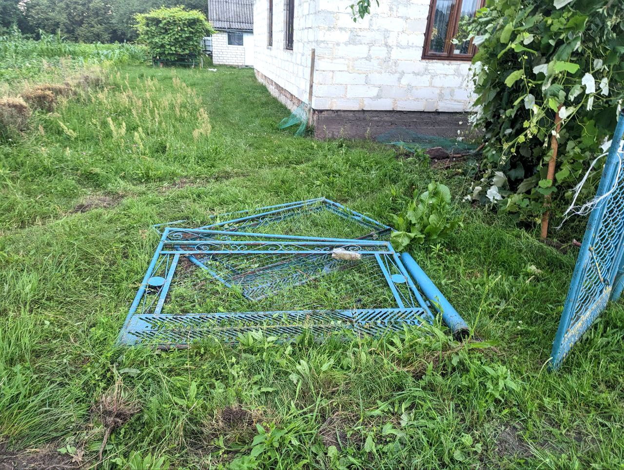 На Рівненщині водія-втікача після ДТП відшукали в лісі