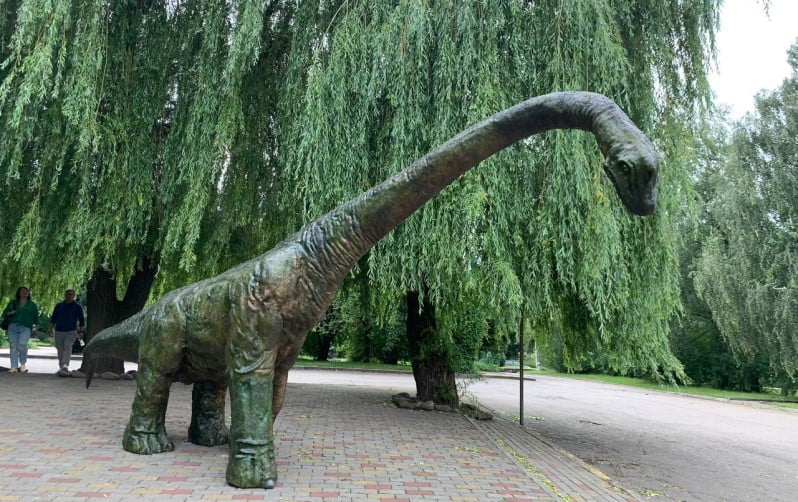 На паркінгу Рівненського зоопарку поселився величезний хижак