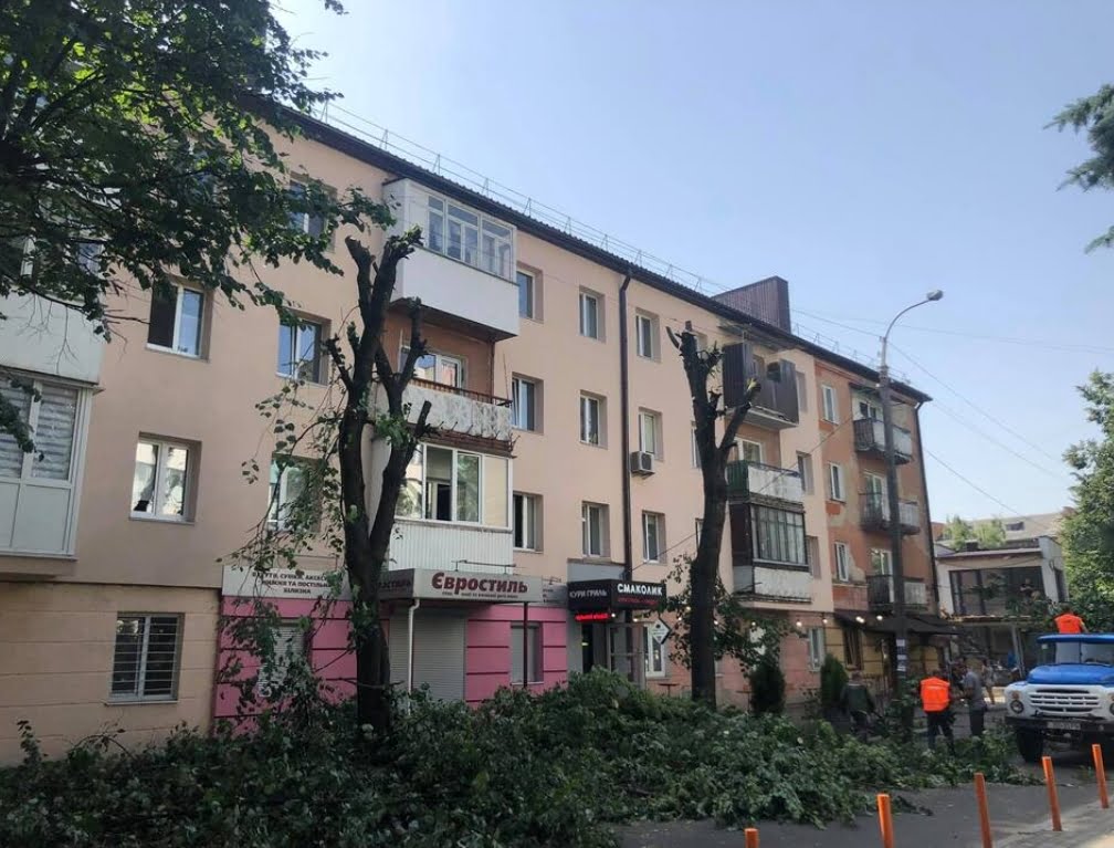 1 Обрубки замість дерев: хто і чому калічить зелені насадження в Рівному
