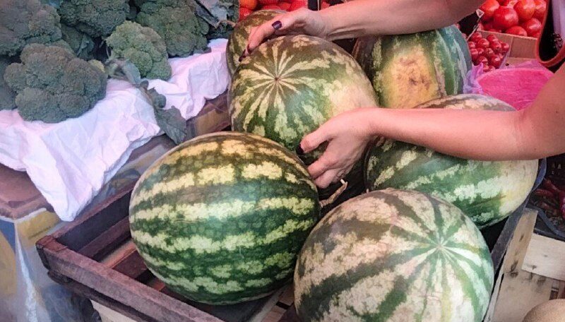 Всесвітній день кавуна у Рівному: по чому купують та як вирощують самі