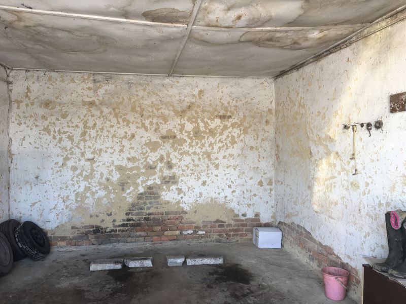 1 Рівненський підприємець розповів, що зробить в напівзруйнованих стінах ветклініки