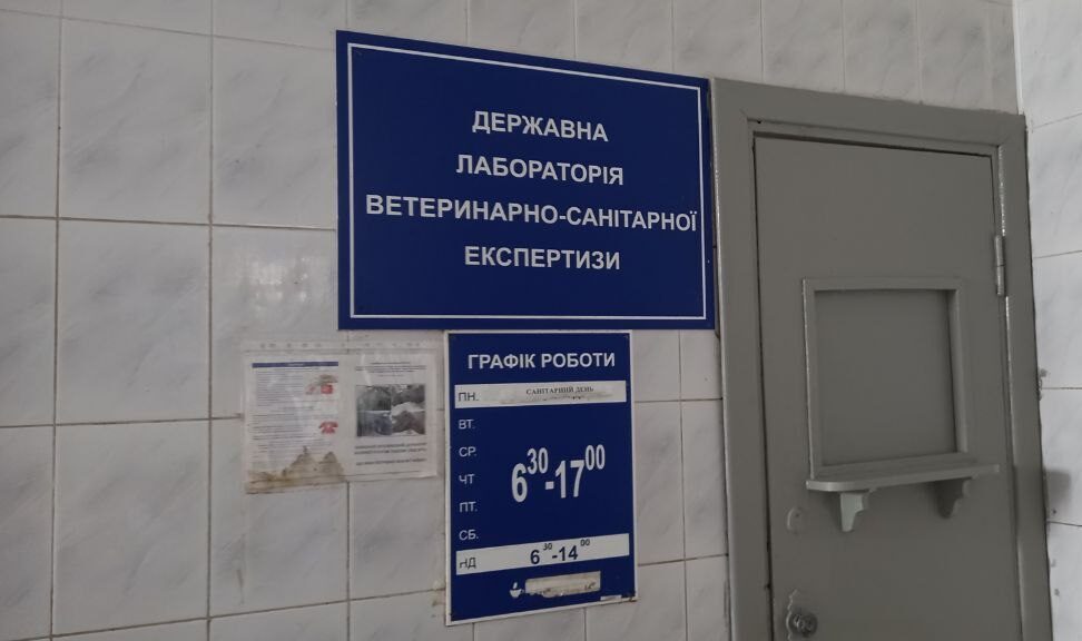 Всесвітній день кавуна у Рівному: почому купують та як вирощують самі