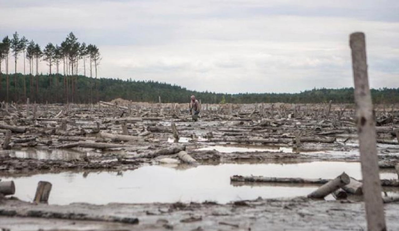 На Рівненщині продають дозволи для видобутку бурштину 0000