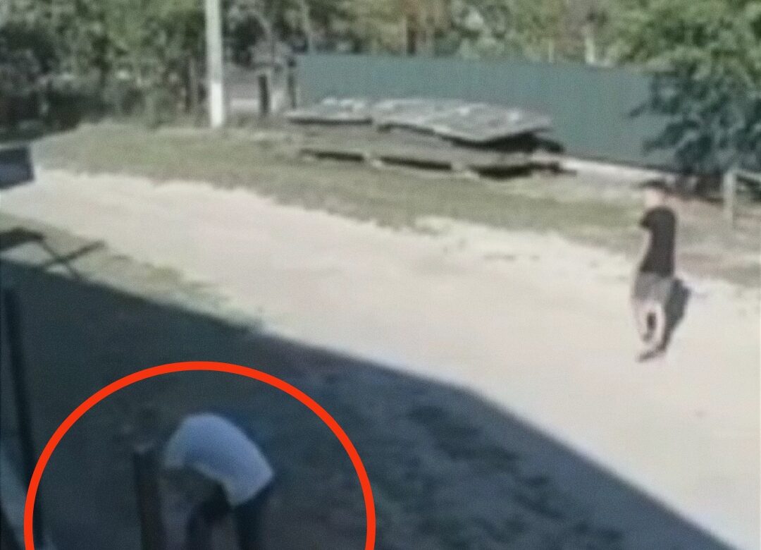 На Рівненщині підлітки познущалися з тварин (ВІДЕО)