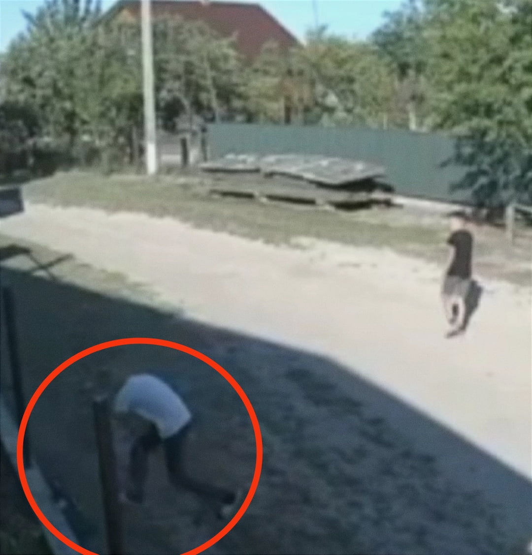 На Рівненщині підлітки познущалися з тварин (ВІДЕО) 0000