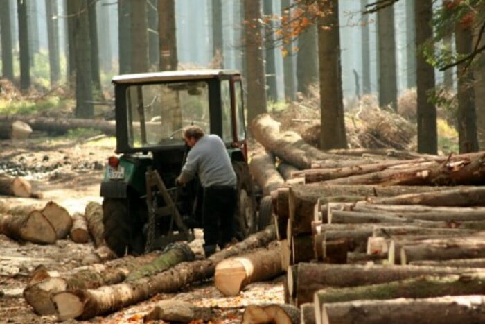 Підприємство з Рівненщини першим в Україні отримало цифровий дозвіл на вирубку лісу 0000