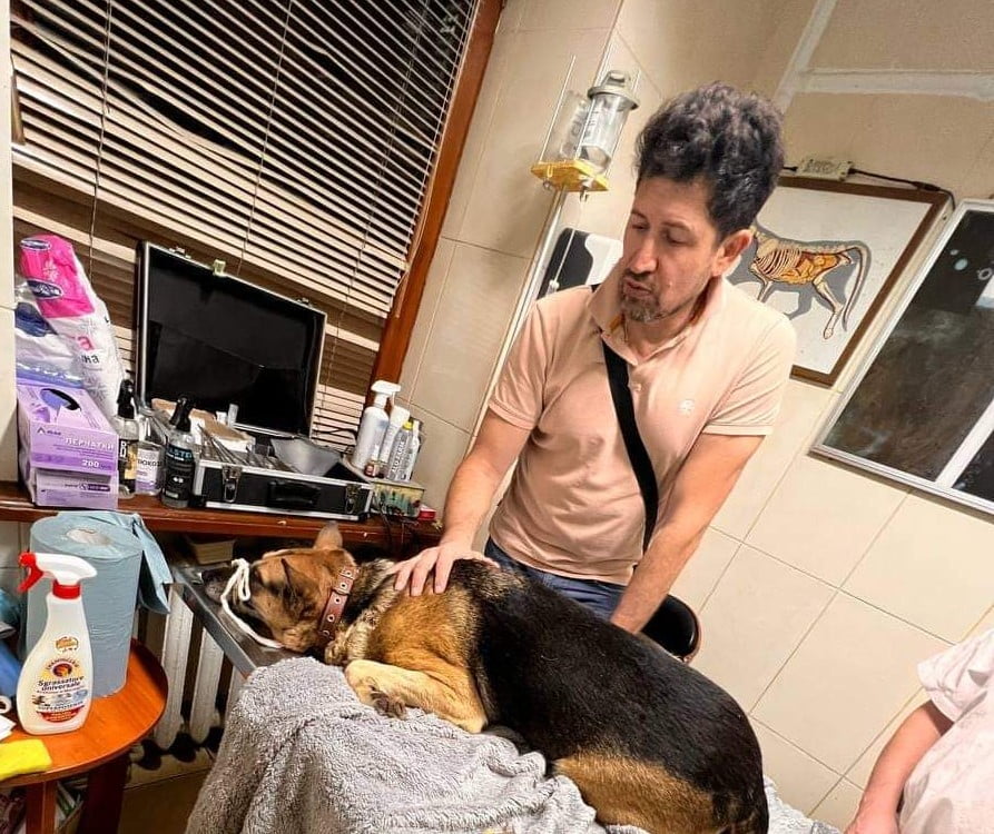 У Рівному шукають господарів собаки, якого збив шоумен Андрій Джеджула (ФОТО) 0000