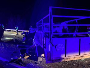 1 На Рівненщині у ДТП потрапили поліцейські та причіп із коровою, є постраждалі (ФОТО, ВІДЕО)