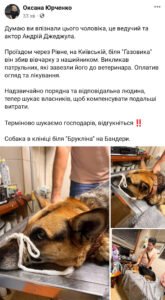 1 У Рівному шукають господарів собаки, якого збив шоумен Андрій Джеджула (ФОТО)