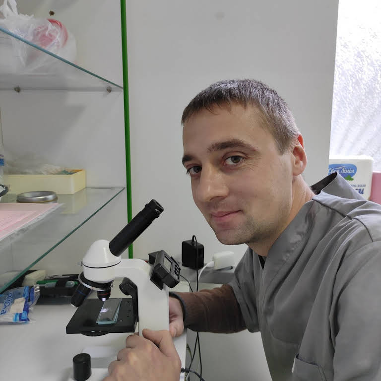 В Україні святкують День захисту тварин, а на Рівненщині продовжуються масові вбивства чотирилапих