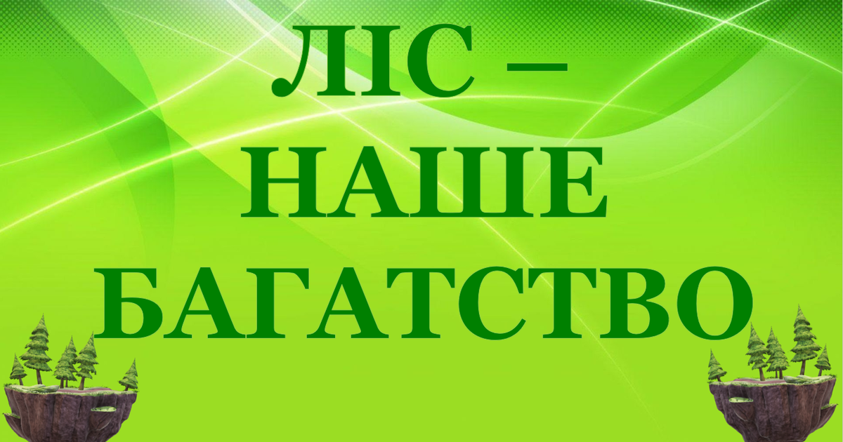 1 Мільйони, золото, нерухомість і зброя: Генпрокуратура затримала депутата Рівненської облради за незаконне збагачення на лісах