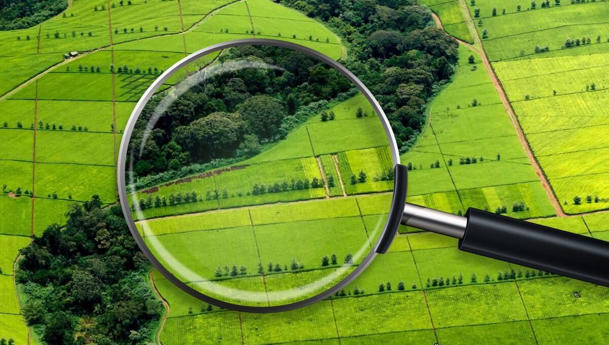 На Рівненщині із власності громадян росії та білорусі вилучили понад 40 земельних ділянок 0000