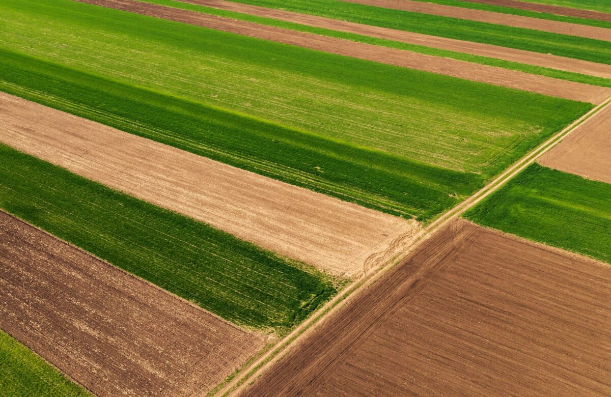 На Рівненщині закладу освіти повернули землю вартістю понад 20 мільйонів гривень