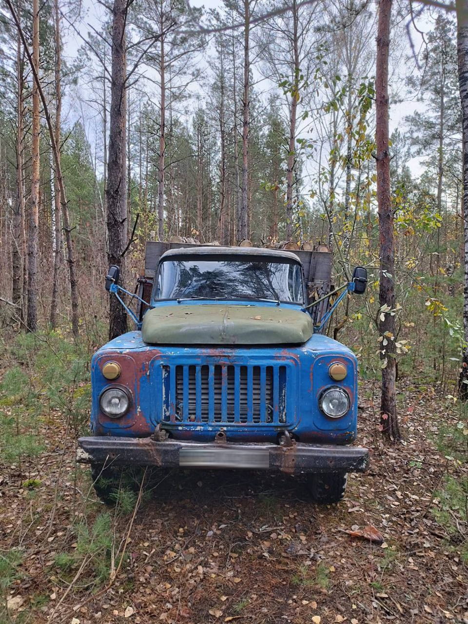 1 На Рівненщині поліцейські виявили крадіїв деревини