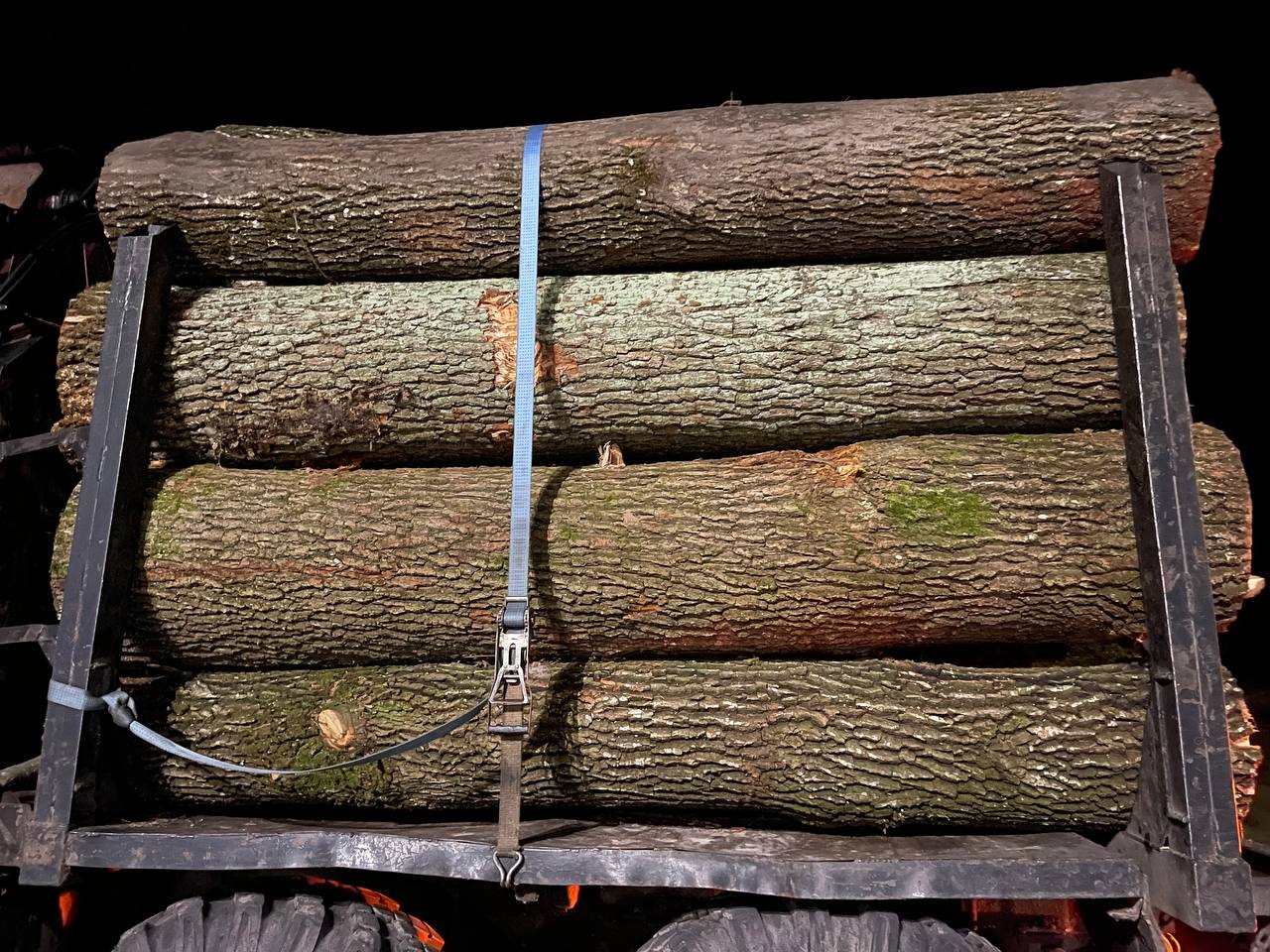 1 На Рівненщині поліцейські виявили крадіїв деревини