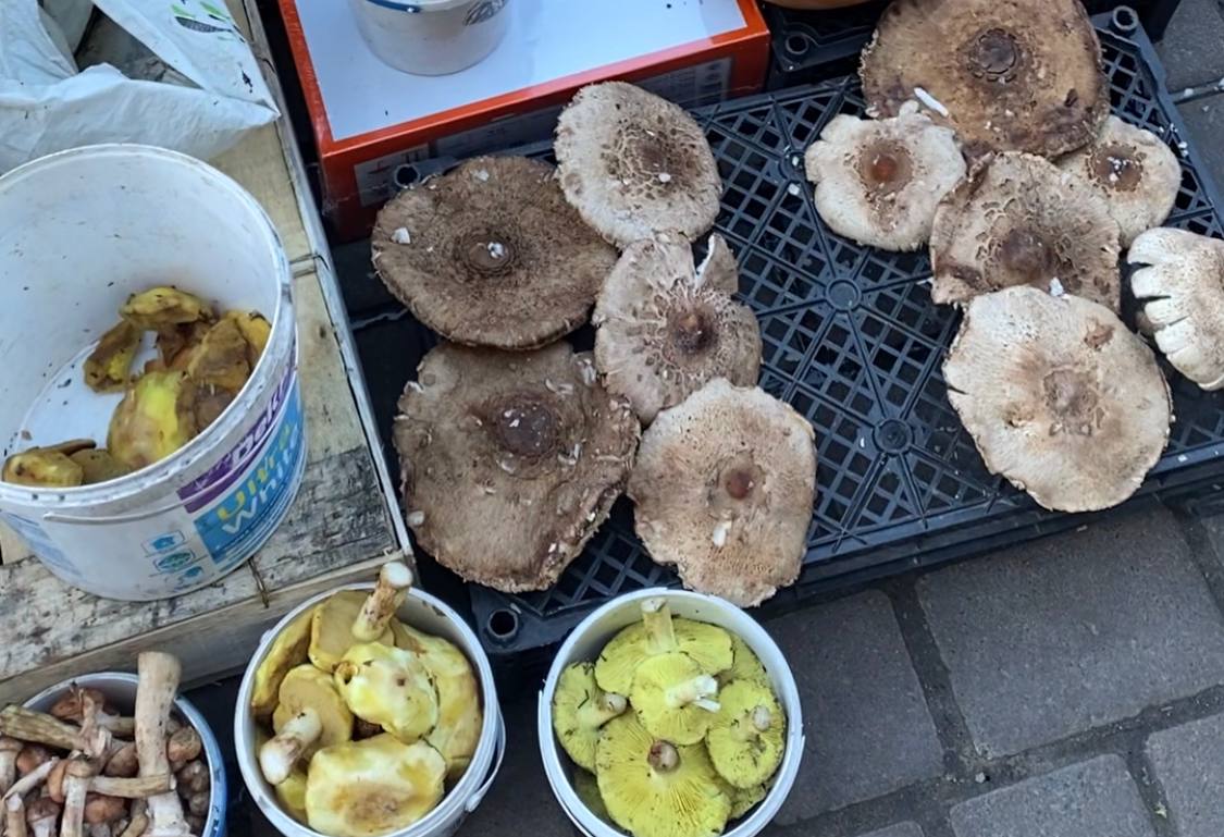 Чи безпечно купувати продукти на центральному ринку у Рівному