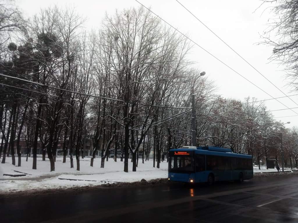 У Рівному збираються вирізати ще один сквер 0000