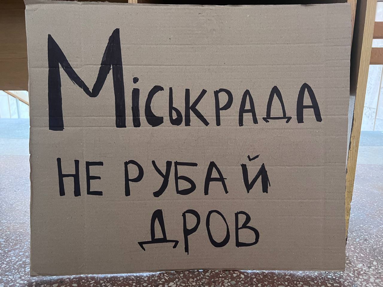 Депутати Рівнеради відклали питання вирубування скверу на довивчення 0000