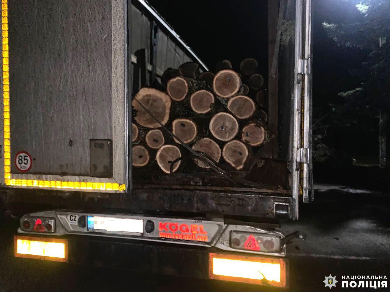 На Рівненщині водій перевозив крадений дуб на причепі з несправним освітленням 0000
