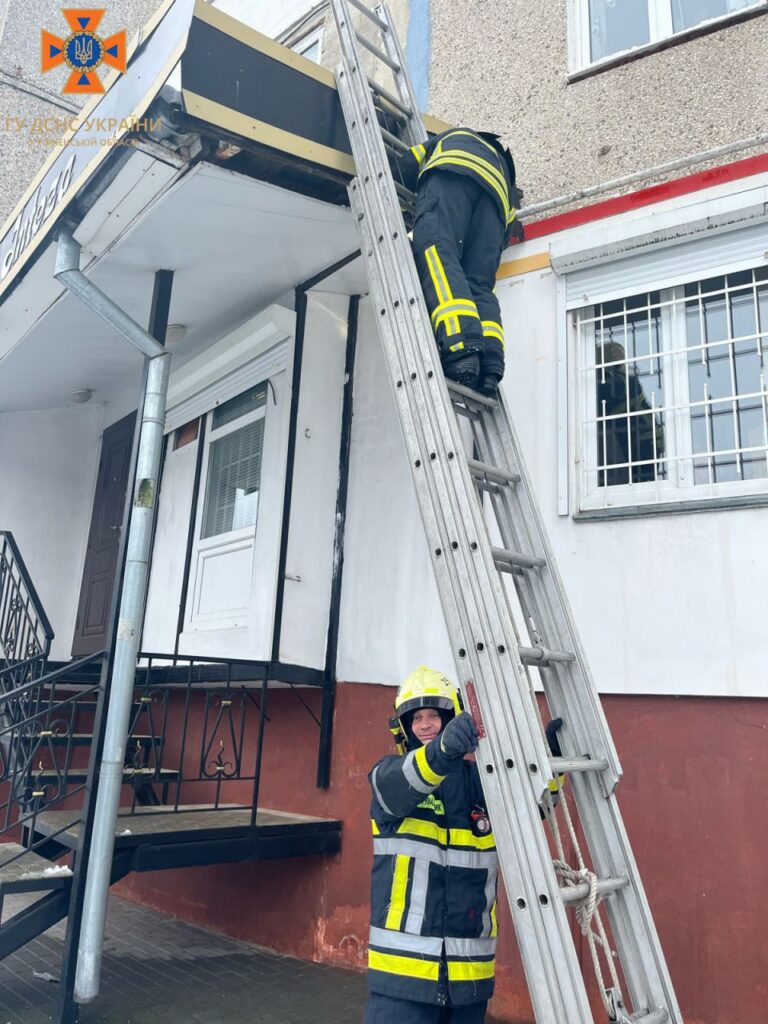 1 У Рівному врятували чорно-білого котика (ФОТО)