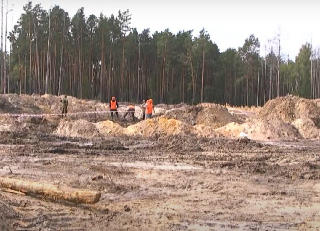 На Рівненщині продали дозвіл на видобуток бурштину за 3,5 мільйона гривень
