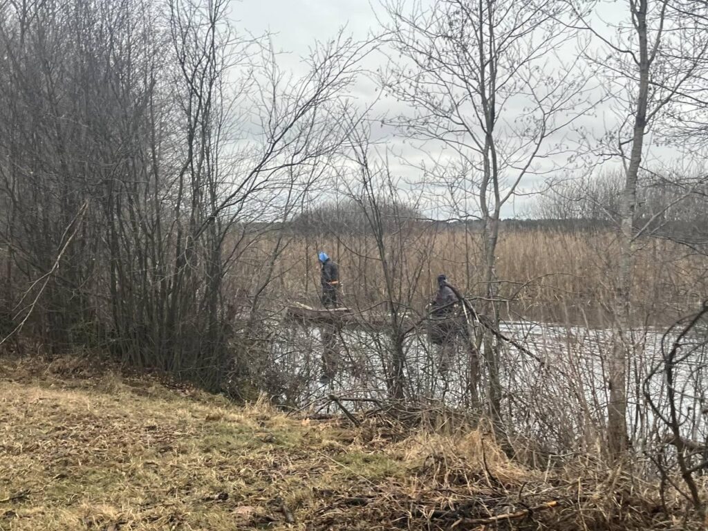 1 У лісах на межі з Рівненщиною третій день розшукують 17-річну волинянку (ФОТО)