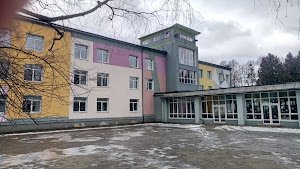 Рівненську вчительку, яка назвала учня скотинякою, звільнили  (ВІДЕО)