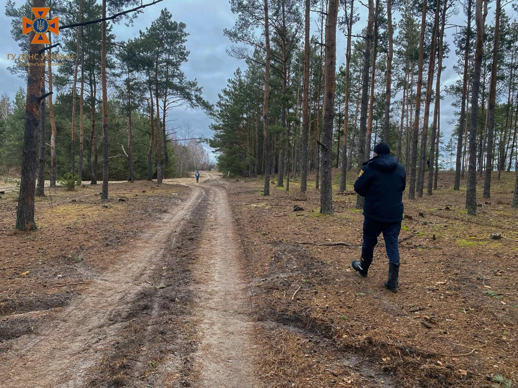 1 У лісах на межі з Рівненщиною третій день розшукують 17-річну волинянку (ФОТО)