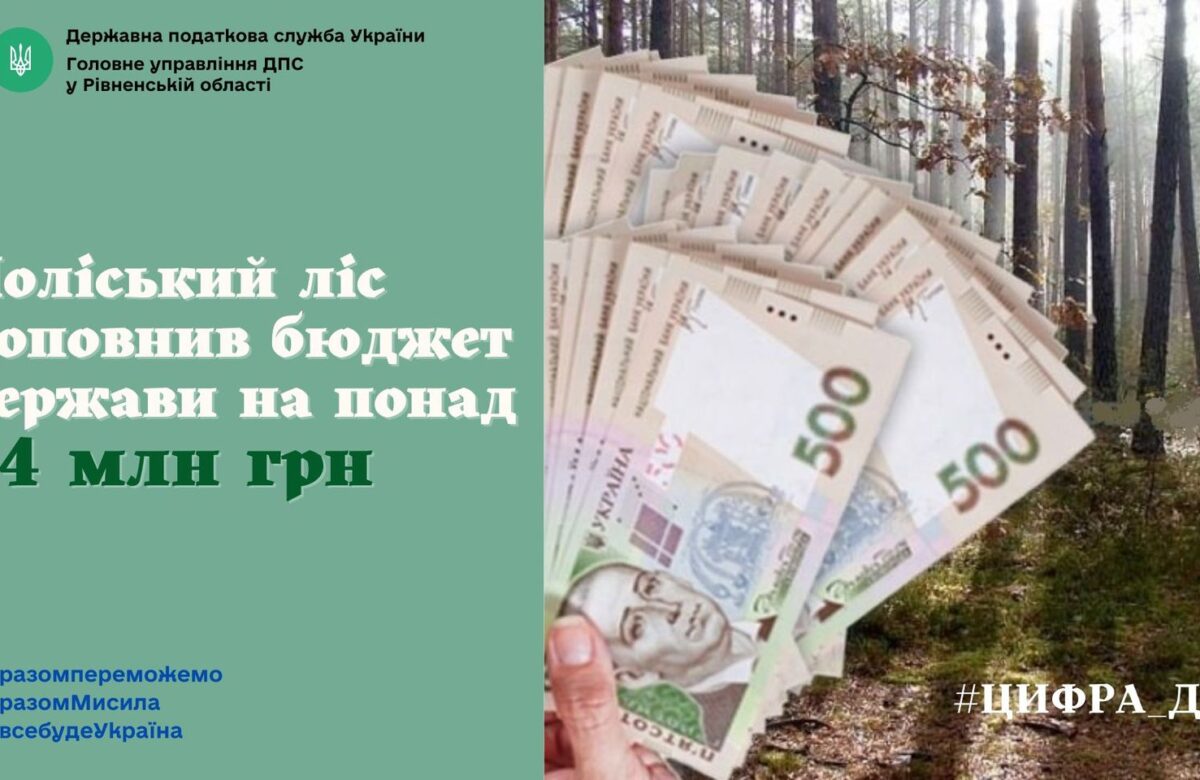 Ліс Рівненщини поповнив бюджет держави на понад 44 мільйони гривень