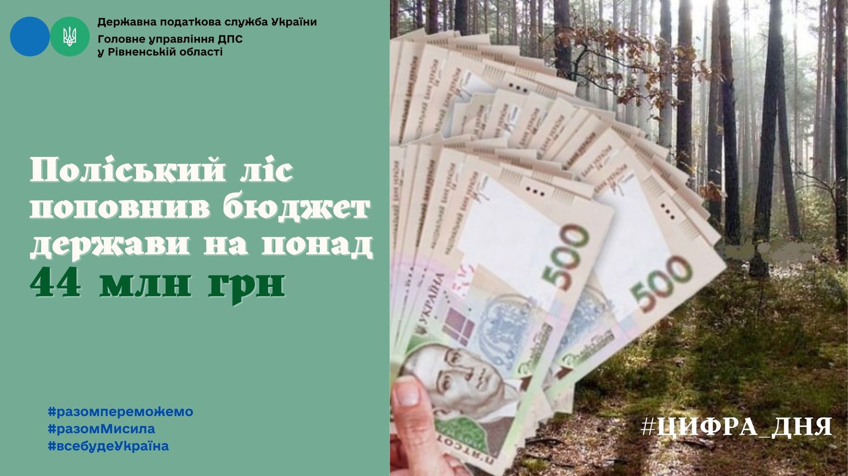Ліс Рівненщини поповнив бюджет держави на понад 44 мільйони гривень 0000
