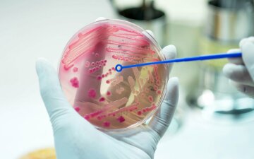 1 В Рівному очікують вакцину від найпоширенішого штаму менінгококу