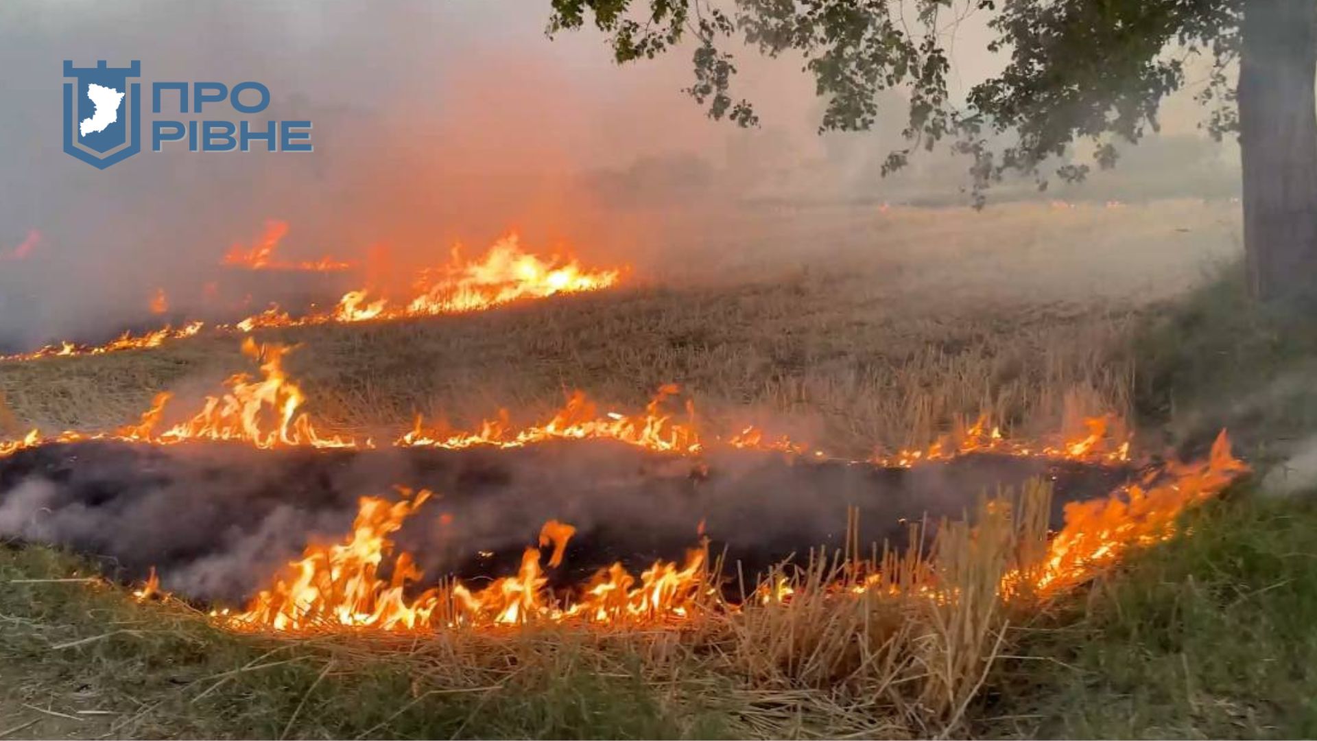 На Рівненщині готуються до сезону пожеж та нагадують про штрафи паліям 0000