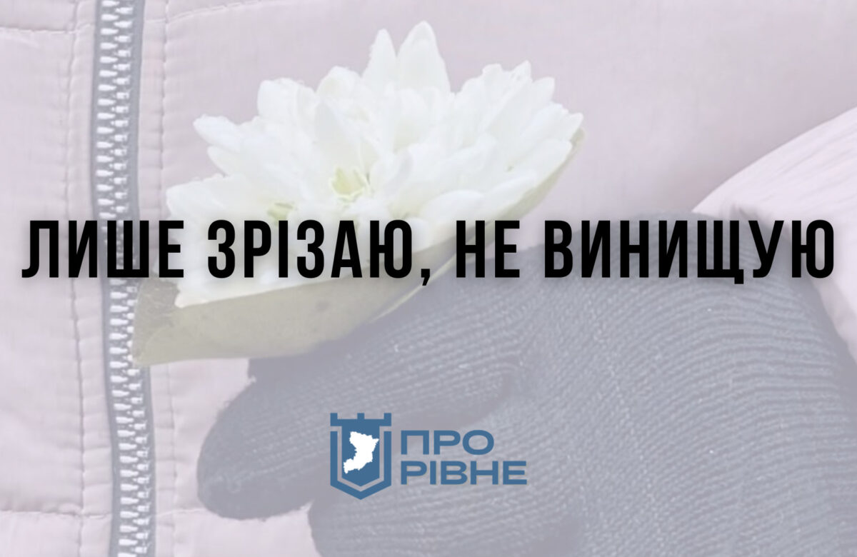 На ринку у Рівному продають заборонені первоцвіти, штрафи не лякають