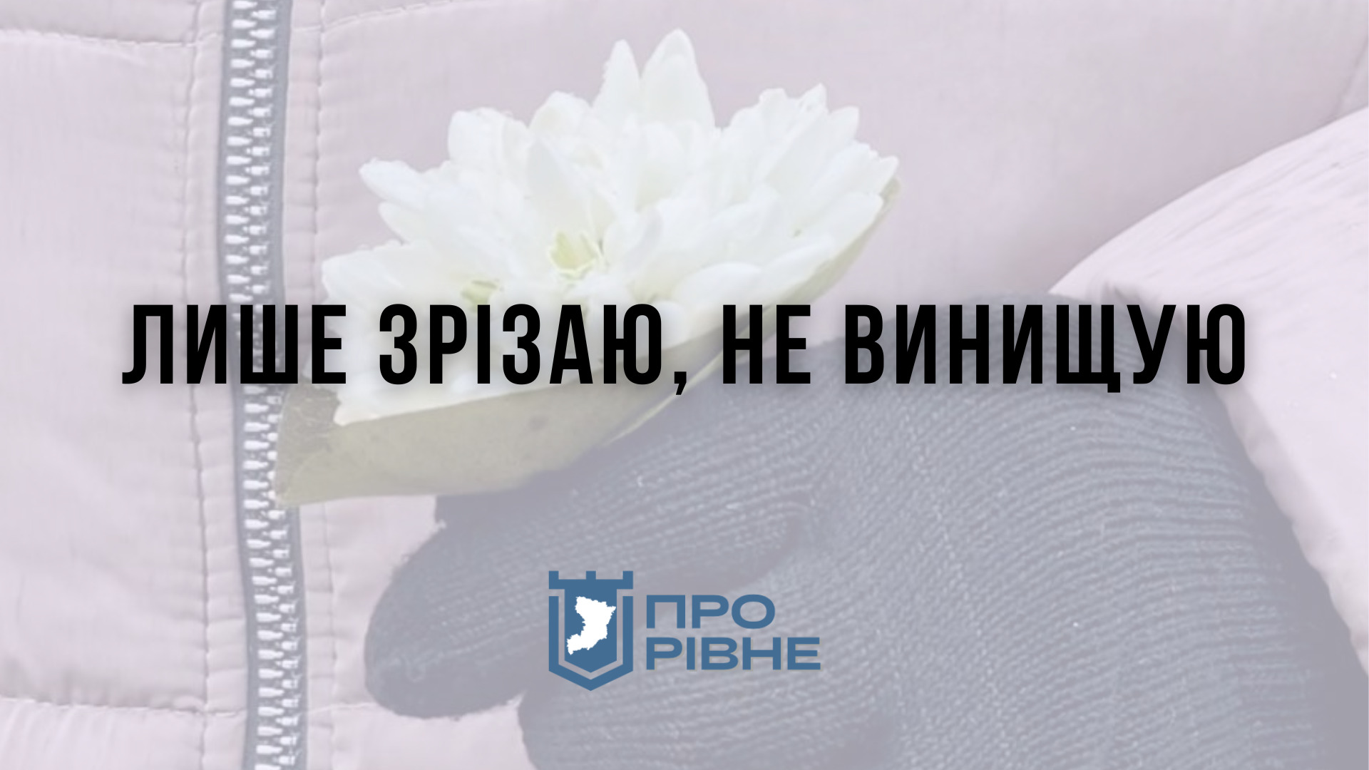 На ринку у Рівному продають заборонені первоцвіти, штрафи не лякають 0000