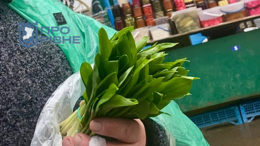 1 На ринку у Рівному продають заборонені первоцвіти, штрафи не лякають