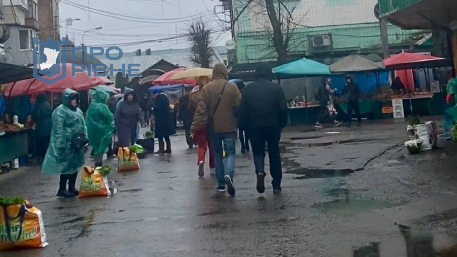 1 На ринку у Рівному продають заборонені первоцвіти, штрафи не лякають