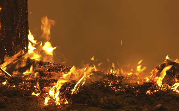 У пожежі на Рівненщині виявили тіло чоловіка